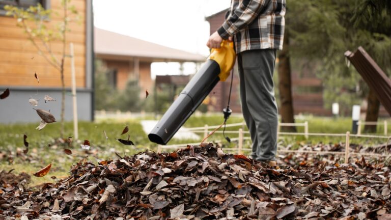 Best Leaf Blowers for a Yard Full of Trees