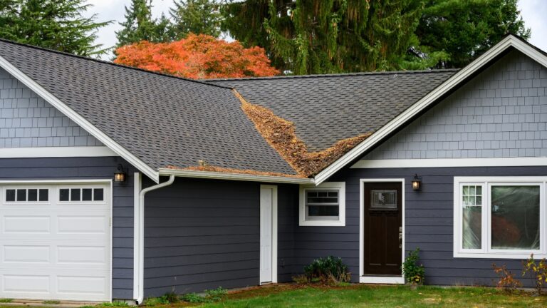 10 Trees That Drop the Most Mess on a House