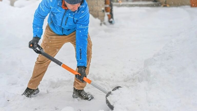 10 Yard Jobs That Are Much Harder Once the Ground Freezes