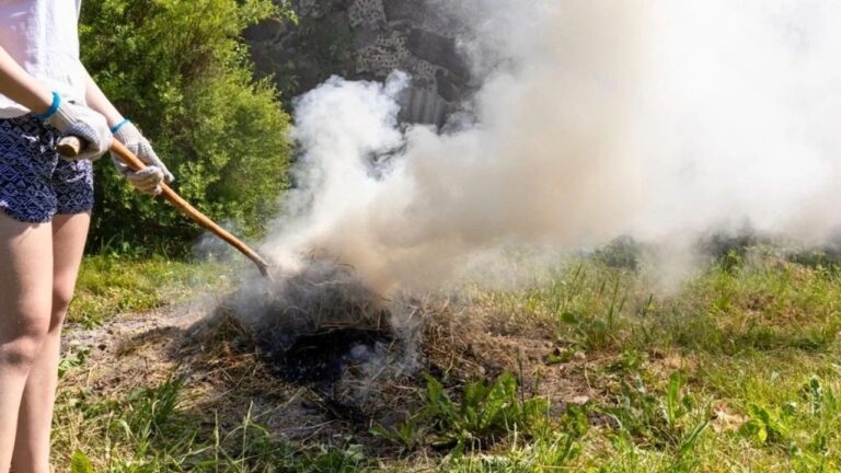 10 Things You Should Never Throw on a Burn Pile
