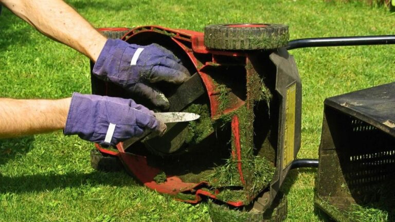 10 Things That Dull Mower Blades Faster Than Anyone Expects