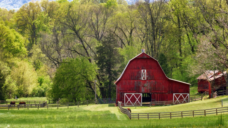 10 Signs Something Has Been Living in Your Barn